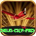 2019 world cup Official v2.4.0