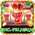 567ZK Gaming Premium