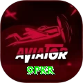 9pkr Pro Max vv4.3.2