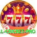 all cricket Master PK v1.6.9