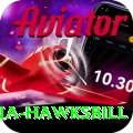 antigua hawksbill Ultimate v2.5.3