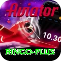 bingo Pro1 v5.5.9