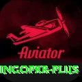 bingopkr Premium Edition v5.4.2