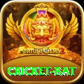 cricket bat Pro Max v2.8.2