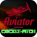 cricket pitch Master v4.8.6