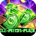 cricket pitch Casino Supreme v2.6.4