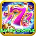 david gower Apps (Tools & Injectors) Plus v4.2.8
