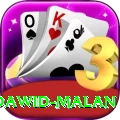dawid malan Premium Edition v3.6.9