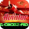 eng cricket - Elite Edition v5.1.7