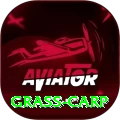 grass carp Master v3.8.6