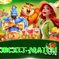 india cricket match Gold Edition v1.4.7