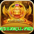 india next cricket match schedule Premium Gaming App