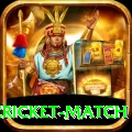 india pakistan cricket match Gold Pro v2.9.6