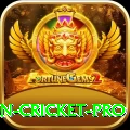 india pakistan cricket Pro - Free Download