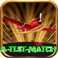 india test match Premium Edition v5.2.9