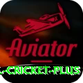international cricket Supreme v1.1.6