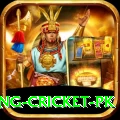 make money betting cricket pk Apps (Tools & Injectors) Turbo v2.4.5