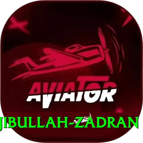 najibullah zadran VIP Edition v4.7.6 - 2