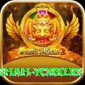 naseem shah yorkers Plus Edition v1.6.0