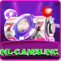 online gambling Pro Max v5.2.1