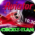 pakistan women cricket team Turbo v2.8.0