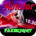 pakrummy Apps (Tools & Injectors) Plus v3.7.2
