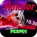 pkspin Deluxe vv3.6.6