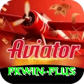 pkwin Max Pro vv1.0.5