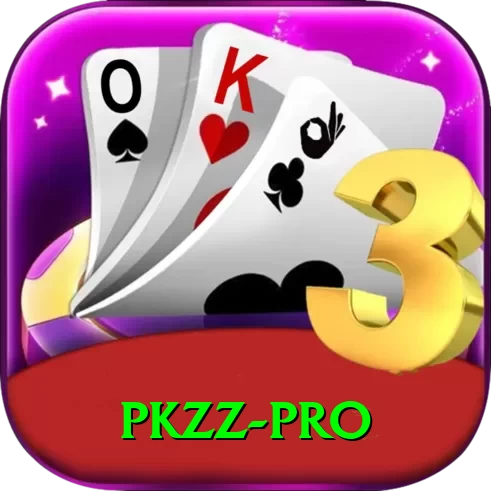 pkzz Pro Max v4.2.3 - 2