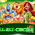 risk free bet cricket Master v3.6.1