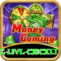 smartcric live cricket Plus v4.5.9