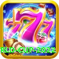 t 20 world cup 2022 Premium v3.0.2