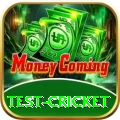 test cricket VIP Pro v5.6.2