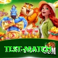 test match Pro Edition v4.6.2