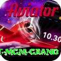 the signature at mgm grand Apps (Tools & Injectors) Plus v3.3.6