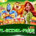 tnpl live score - Royal Earning App