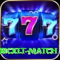 to day cricket match Premium v2.8.5