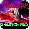 to day cricket match Champion v2.2.8