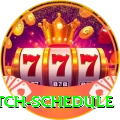 today t20 match schedule Premium v4.2.9