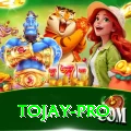 tojay Premium Edition v1.4.6