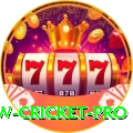 willow cricket Casino Official v1.4.6
