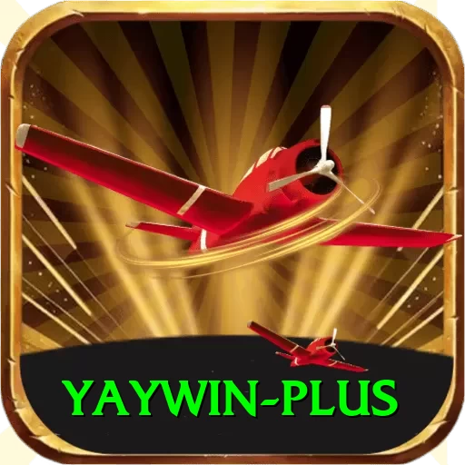 yaywin VIP Edition v5.1.8 - 2